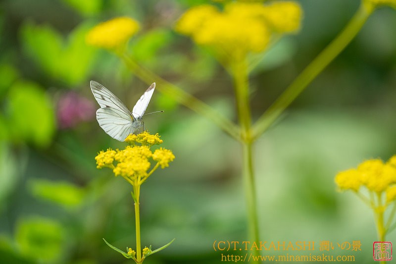 ../Images/7R240815 (289).jpg